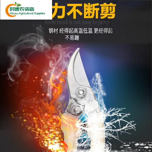 德国进口品质剪树枝专用剪刀园林园艺修枝剪不锈钢修剪树枝 SK5-01白修枝剪+14116:不锈钢橙: