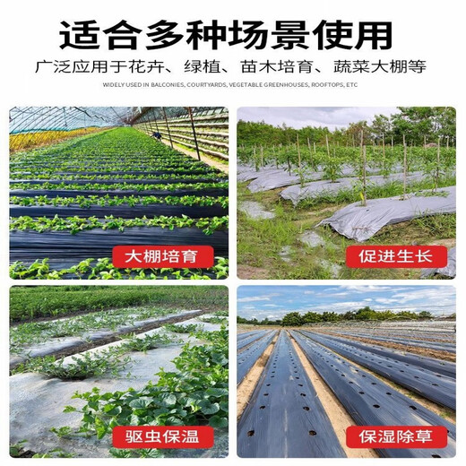 Silver and black two-color mulch film, new material, thickened insect-proof reflective mulch film, weeding film, thermal insulation agricultural mulch film, silver black 5Jin Jin equals 0.5kg 1.2 wire thick 0.6m wide 260m long