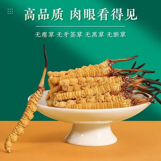 Luzhangtang auténtico Cordyceps de verano Cordyceps Cordyceps Authentic Big Broken Grass Dry Goods Compre 10 piezas Obtenga 1 pieza en el Tíbet auténtico Auténtico Naqu Premium Big Broken Grass 1 Gram Pack (1 gramo de paquete)