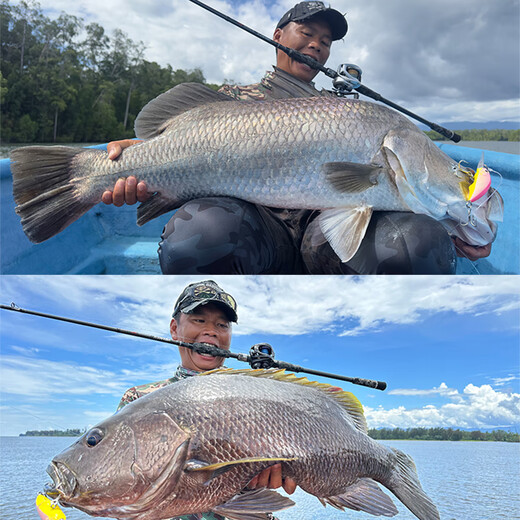 BFW Bode Fishing World Bone 24 Voyage-X Rounder x Luya Pole Four-Section Travel Prod Rending Persable Portable Dong Top Fishing Flate Flater 2,03 м BXC-684MH Ручка для пистолета Четырехб.