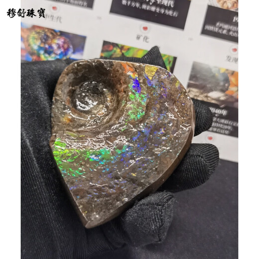 Mushu Canadian natural colorful gemstones, wind water money ornaments, colorful snail heart cornucopia