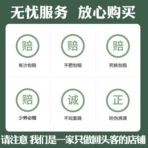 Popular Rushan Oysters, Fresh Oysters, Extra Large Seafood Oysters, 5 Jin Jin is equal to 0.5 kg, whole box of fresh oysters, 4 Jin Jin is equal to 0.5 kg, 3XL size, 10-16 pcs