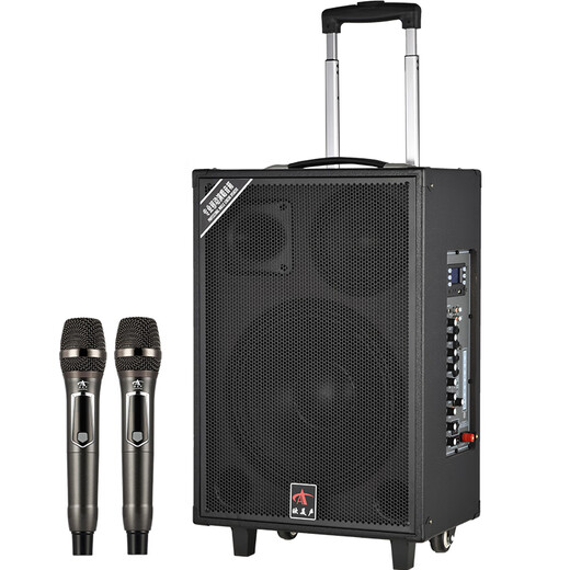 European and American sound 263 outdoor audio karaoke special all-in-one machine with sound card professional three-way singing high-power portable square dance Bluetooth trolley speaker with wireless microphone 12 inches 12 inches/263+2 microphones + spree
