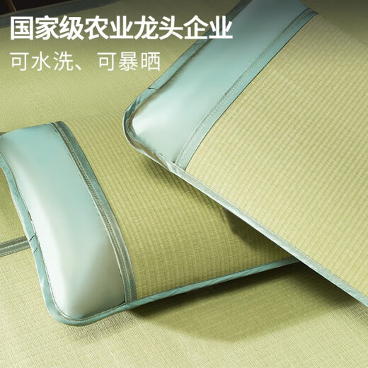 Huanggulin Natural Sponge Grass Pillowcase Summer Mat Student Single Summer Cooling Pillowcase Single Pack Pair 2