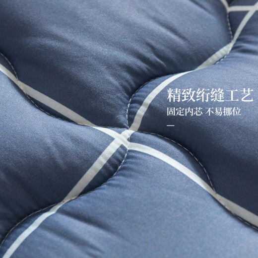 Nanjiren Home Textile Fiber Autumn and Winter Quilt 6Jin [Jin is equal to 0.5kg] 200*230cm Mustache