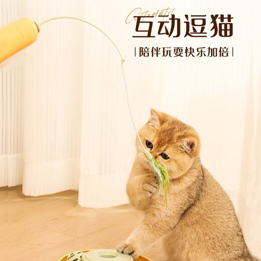 Huayuan Pet Tools (Hoopet) Cat Toy Stick Cat électrique sans bouchage d'outils de chat à boule de cloche Smart Cat Smart Smart Stick Improvisionnels de chat de remplaçant auto-excitant [Choix à 90%] Stick Cat-Cat Intelligent-Unplugged (jaune et vert)