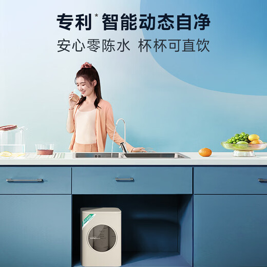 史密斯（A.O.SMITH）【补贴不限区域】佳尼特净水器家用厨下直饮机净饮机反渗透过滤器升级款大眼萌2600Pro CXR1050-A1 国家补贴20% 2.88L/min大流量 5年长效RO膜 近3