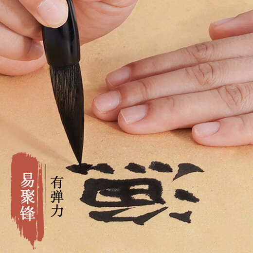 Recording of learning, medium-sized brush calligraphy special and calligraphy practice pen set for beginners, four treasures of the study, large and small regular script, medium and regular script, seal script, Chinese painting, primary school students, children and adults