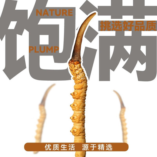 Luzhangtang auténtico Cordyceps de verano Cordyceps Cordyceps Authentic Big Broken Grass Dry Goods Compre 10 piezas Obtenga 1 pieza en el Tíbet auténtico Auténtico Naqu Premium Big Broken Grass 1 Gram Pack (1 gramo de paquete)
