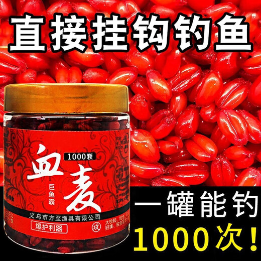 Uncle Ben fishing wheat musk fish bait particles directly hooked to wild fishing competitive nest cooking wine rice crucian carp carp grass carp 1000 pieces in a can