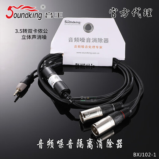 Yinwang Audio Isolation Transformer CA701 Eliminates Noise AC Interference 600 Euro Performance Rental Laptop Bjr101 Isolation Line 3.5 to 2RCA