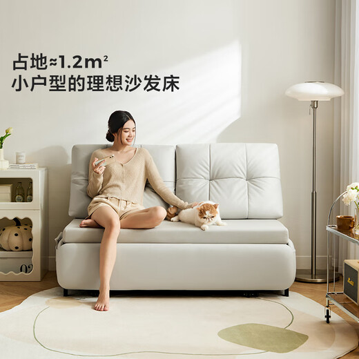 Lins Zuhause einfaches cremefarbenes Klappschlafsofa Wohnzimmer kleine Wohnung TBS037-A großes Doppelbett-Jingcang Shanfa