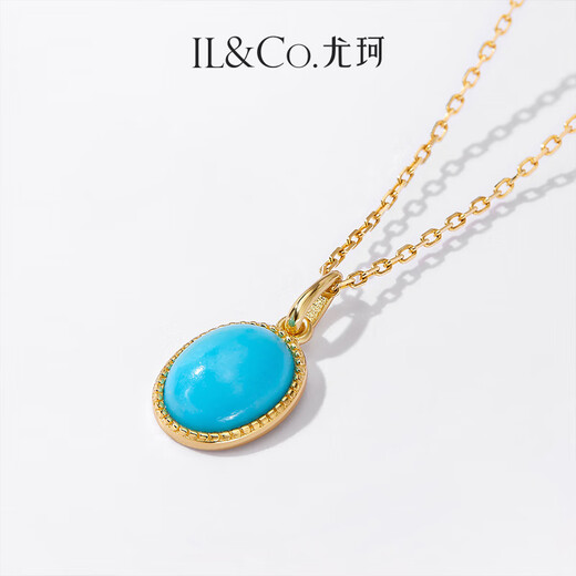 IL&CO Youke Natural Turquoise Necklace for Women Light Luxury S925 Silver Clavicle Chain Birthday and Valentine's Day Gift for Girlfriend S925 Silver Turquoise Necklace