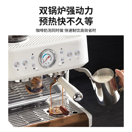 柏翠（petrus）意式咖啡机家商用全半自动研磨一体机小型浓缩奶泡机双泵双炉 PE3899 节日礼物 PE3899咖啡机+制冰机套装