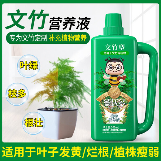 Devodo Asparagus special plant nutrient solution 500mL flower green plant hydroponic flower fertilizer rich bamboo Guanyin bamboo leaf fertilizer
