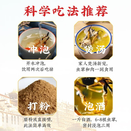 色季拉冬虫夏草断草 大断节虫草 10克装1瓶自吃实惠推荐