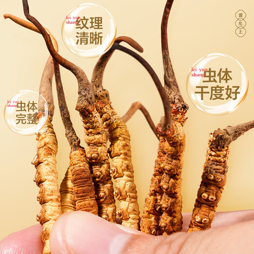 雷允上野生冬虫夏草2根/g 15g约30根那曲虫草礼盒高端滋补品送人