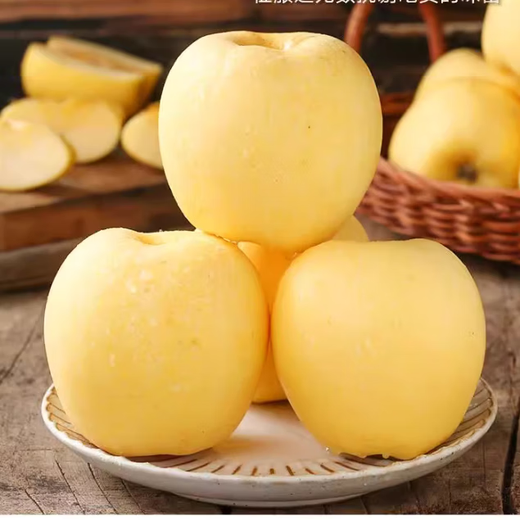 Jingdida Yantai Qixia Apple Cream Fuji Apple 25 Years New Fruit Grade 80 5Jin Jin is equal to 0.5 kg Yantai Apple Fruit Directly from the Source