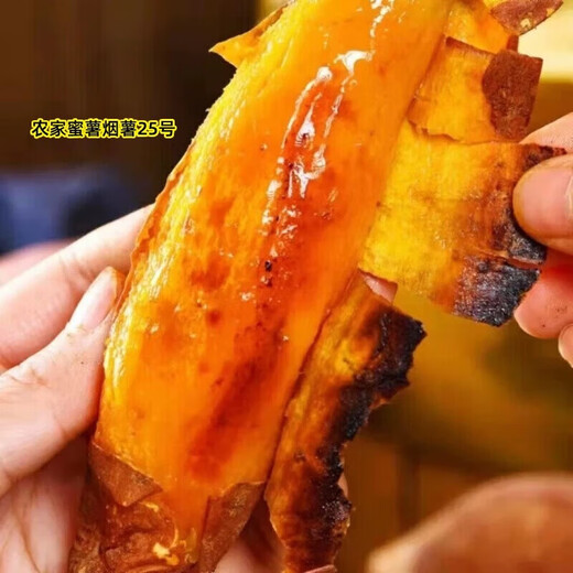 Frisch geerntete Tabak-Süßkartoffel, Süßkartoffel mit süßem Herzen, in der Frischluftfritteuse geröstete Süßkartoffel, sandrote Süßkartoffel vom Bauernhof, authentische Tabakkartoffel Nr. 25, 1 Jin Jin entspricht 0,5 kg (Frühverkoster), mit Schachtel, mittlere und große Frucht (einzelne Frucht 150 g–500 g).