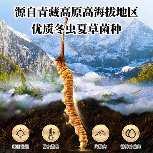 Jiugang Group Nutritional Products For the Elderly for the âgés pour les personnes âgées pour l'amélioration de l'immunité après l'opération Cordyceps Sinensis Liquide Cordyceps Products de santé Cordyceps Sinensis Nutrition Solution 240 ml / bouteille * 3 Bouteilles Boîte à cadeaux