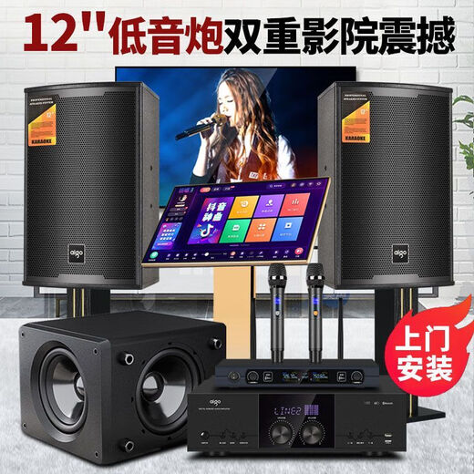 爱国者家庭KTV音响套装全套点歌机卡拉OK一体机家用专业K歌重低音 美声功放KTV全套+12寸双炮+投影 双十寸10单元音响