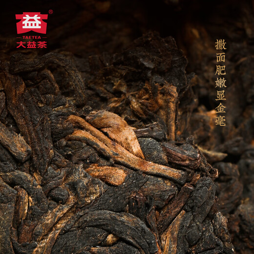 Dayi taetea thé pu'er thé
