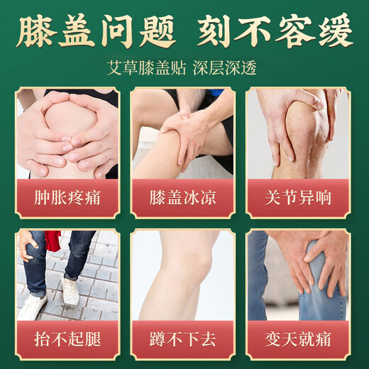 Tong Ren Tang Beifuß-Kniepflaster, gesundes Moxibustionspflaster, Kniegelenk-Beifuß-Patch, 12 Pflaster/Box