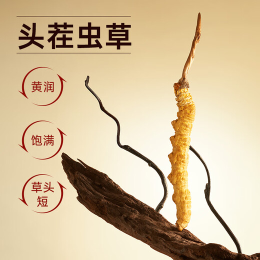 
Ayishe [Purpose Gift Box] Ayishe Cordyceps sinensis Authentic Cordyceps gift box Unbroken grass tonic for elders 4 sticks/g5g 20 sticks [Purpose Gift Box]