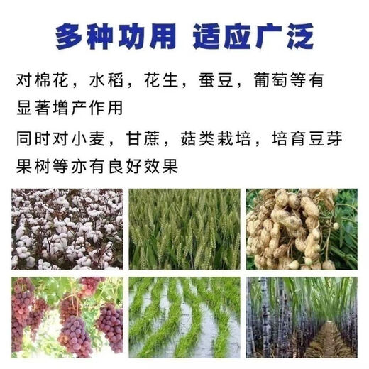 Agricultural Potassium Sulfate General Fertilizer for Fruit Trees and Vegetables Fully Water-soluble Potassium Fertilizer Nutritional Quick-acting Potassium Sulfate 50kg 100Jin Jin equals 0.5kg One bag of original factory packaging