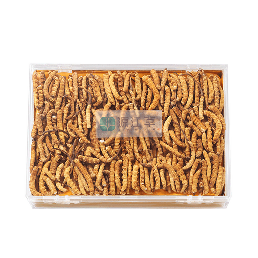 Yuanjiang Grass Cordyceps sinensis Selección de Cordyceps vulgaris Paquete asequible para suplementos nutricionales de edad avanzada para regalos de autoalimentación 100 gramos de hierba rota