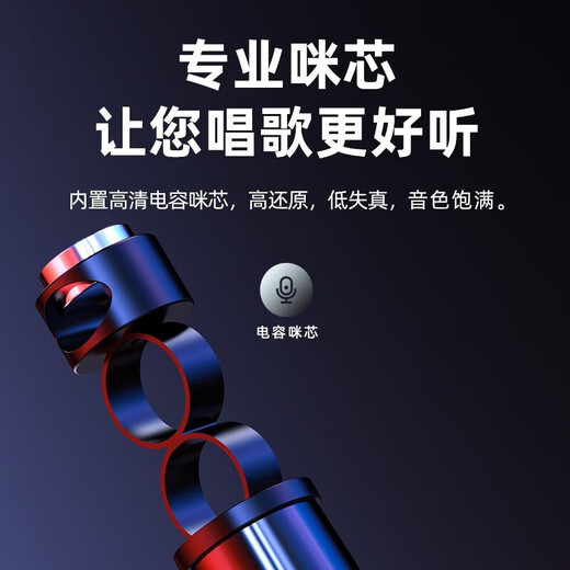 TINGSHENGZHE无线话筒音响一体麦克风k歌神器手持家庭专用ktv蓝牙电视卡拉ok手机扩音器自带声卡套装会议直播 【双喇叭大音量-操作简单】银色 官方标配