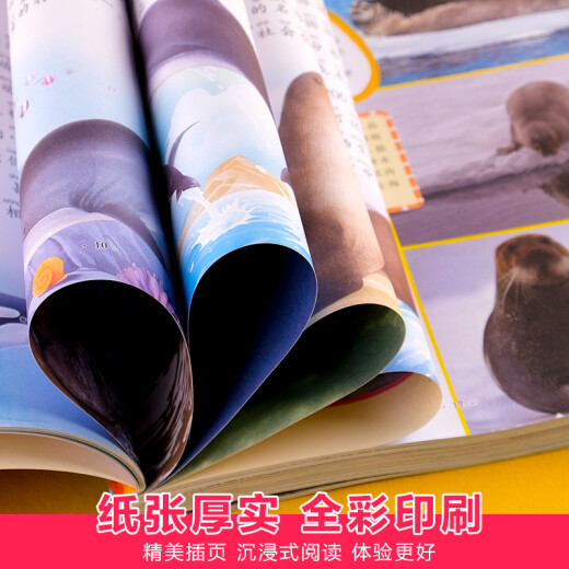 
Marine Biology World Encyclopedia Color Picture Phonetic Edition Children's Books and Books Over 689 Years Old Picture Books Story Books for Grade 1 and 2 Primary School Students' Interesting Science Encyclopedia Complete Set of Extracurricular Books with Pinyin Children's Encyclopedia - Ocean World (Audio Companion Reading Color