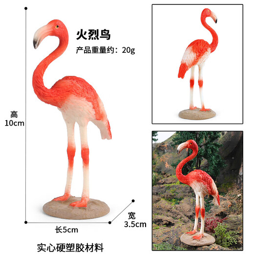 梓嘉福仿真动物模型玩具飞禽鹦鹉老鹰鸵鸟孔雀火烈鸟鸽子翠鸟小摆件 Ox-1421食火鸟