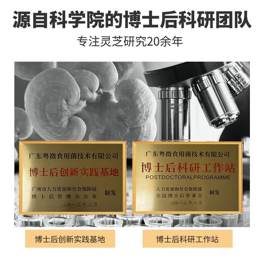 Гуандунская стена с микровожденной стеной ганодерма Lucidum Spore Powder Extract Capsules 60 капсул, питательные продукты для улучшения иммунитета, среднего возраста и пожилых людей для посещения болезней