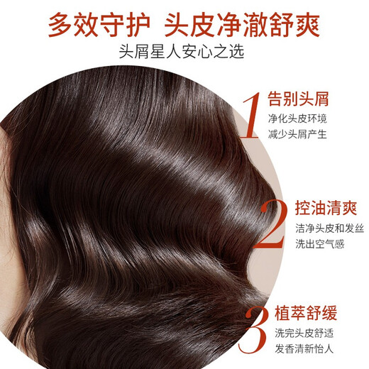 Seeyoung Shampoo Ölkontrolle Anti-DandRuff-freie Silikonöl Männer und Frauen Ingwer Anti-Shake-Remen-Leicht-Shampoo-Tee-Ölkontrolle Anti-DandRuff Conditioner 400 ml*1 Flasche