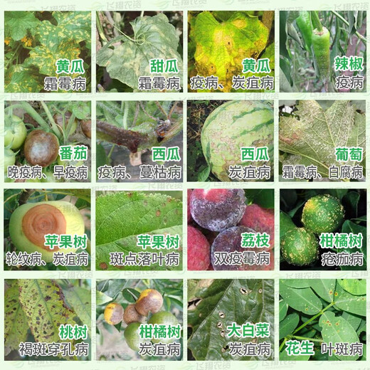 Baitai Germany, Azolefen and Desenlian, Grape, Citrus, Cucumber, Pepper, Downy Mildew, Scab, Anthracnose Fungicide 100g