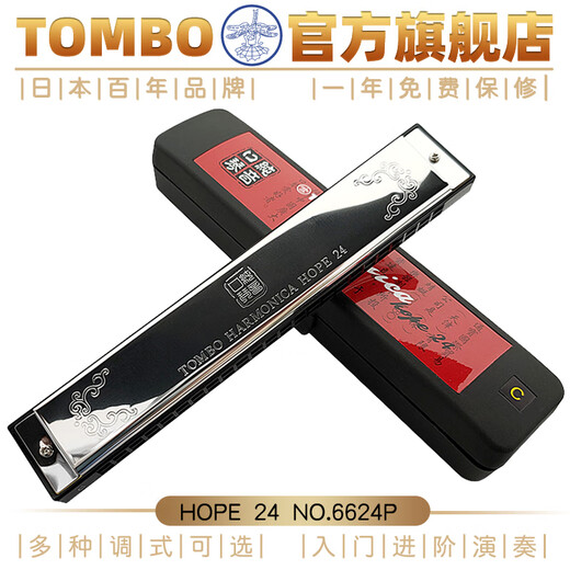 Tongbao Japaner importiert Gong, Anfänger für Erwachsene und professionell 24-Loch-Polyphonic Mundhononica Pure Sound 6624p modifizierte Silber-Aluminium-Gitter [C-Melodie]