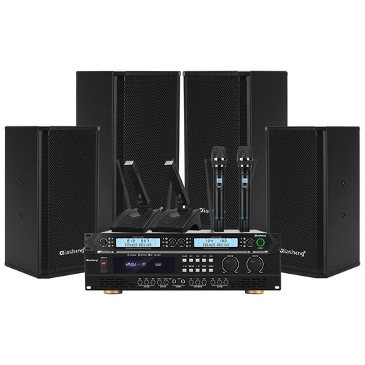 
QIASHENG Chasheng Professional Small and Medium Conference Room Audio Special Wall-mounted Speaker Amplifier Wireless Microphone Combination Home KTV Teaching and Training Audio System Equipment Two Special Prices 10 Inch Conference Audio Set (No Microphone)