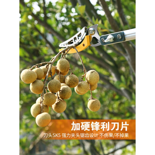 Germany Yinlong Island fruit picking lychee and bayberry fruit picking artifact fruit tree scissors high-altitude telescopic multi-functional fruit picker high branch shears thickened aluminum alloy 1.3-2.3 meters telescopic large blade model comes standard