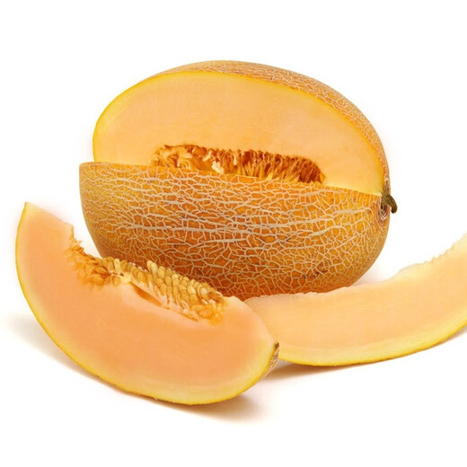 Long-term cultivation sweet Korean reticulated Hami melon seeds Xinjiang melon fruit melon seeds seedlings spring southern four seasons seeds Xinjiang Huozhou honey 168 melon seeds 50g original