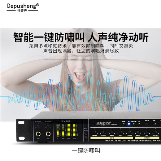 Depusheng REV3900 KTV pre-amp effector with rechargeable wireless microphone for home karaoke singing TV reverberator box commercial anti-howling audio processing USB fiber optic Bluetooth REV3900 without handheld