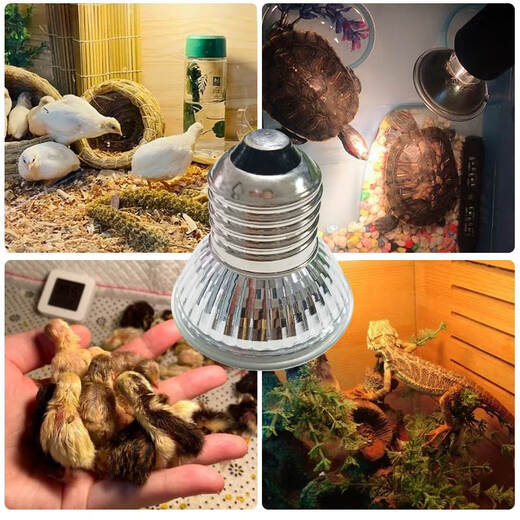 CLCEY Lámpara de aislamiento Pollitos de cría Control automático de temperatura Escalada de mascotas Lámpara de calefacción para mascotas Granja Control de temperatura especial Lámpara de calefacción Lámpara solar pequeña 25w 5 piezas