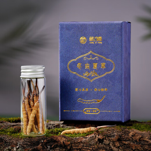 藏汐堂冬虫夏草3根/g 1克 3根装新干虫草头期冬虫草试用款