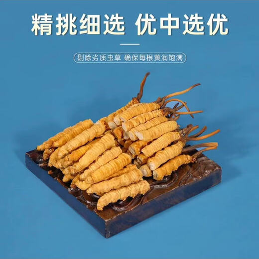Cordyceps sinensis (supports quality inspection) Snowy Cordyceps sinensis broken grass whole meat pure meat festival Cordyceps sinensis dried broken grass 5 grams Cordyceps sinensis large broken grass to improve immunity
