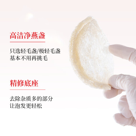 Shangqi Indonesien/Malaysian Bird's Nest Cups Trockene Tassen Große Tassen und dichte Tassen für schwangere Frauen Geschenke 7A Malaiisch ausgewählte Vogelbecher 50 g (7-9 Tassen) mit roter Geschenktüte