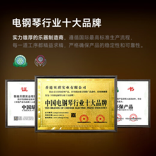 贝琪（Betsy）B321立式电钢琴重锤88键实木琴键成人家用练习专业初学者电子钢琴 演奏级-B321音响款-烤漆黑