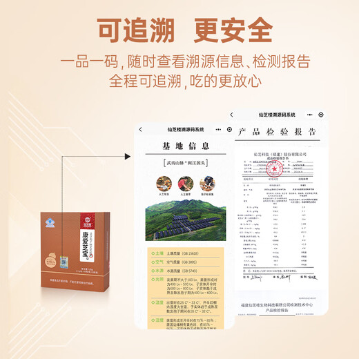 Xianzhilou Breaking Wall Ganoderma Lucidum Spore Powder Ganoderma Lucidum Powder Capsules Visiting Gifts for Middle-aged and Elderly Health Products Anti-radiation and Radiation Increase Immunity 6 Boxes 720g [Second-year Volume] Deep Consolidation-Capsules