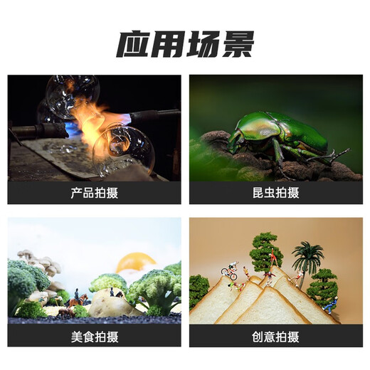 Laowa (LAOWA) Laowa 100mm F2.8 full-frame macro lens portrait flowers and insects oral accessories 2x magnification automatic aperture mirrorless camera standard + gifts Nikon SLR F mount