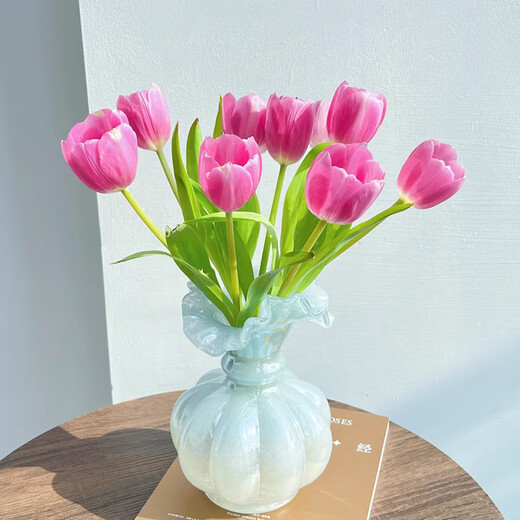 Sweet and Romantic Domestic Tulips 10 Random Colors