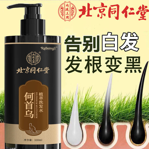 
In the inner court, use Beijing Tongrentang Polygonum multiflorum shampoo black Ganoderma lucidum white hair to promote natural nourishment and cure roots of young, middle-aged and elderly people with anti-dandruff. Gloss 500ml 1 bottle Polygonum multiflorum black hair